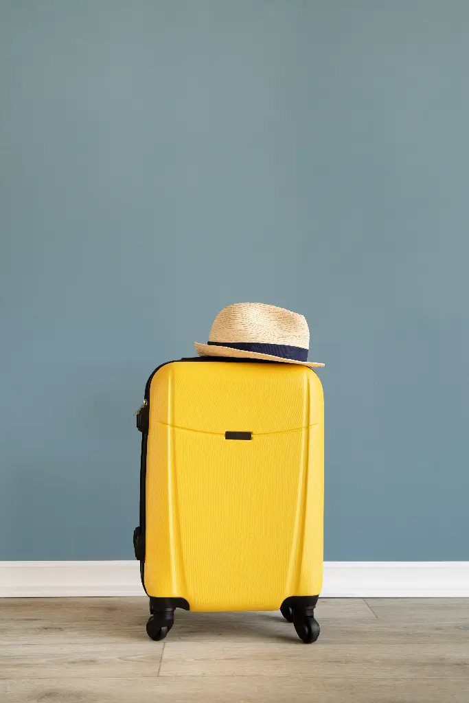 Elite Travel Carry-On Suitcase