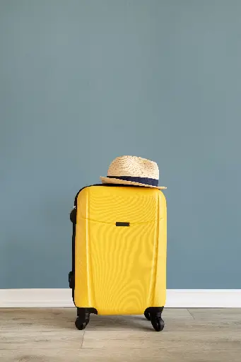 Elite Travel Carry-On Suitcase