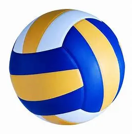 SSBF Nivia Volleyball 